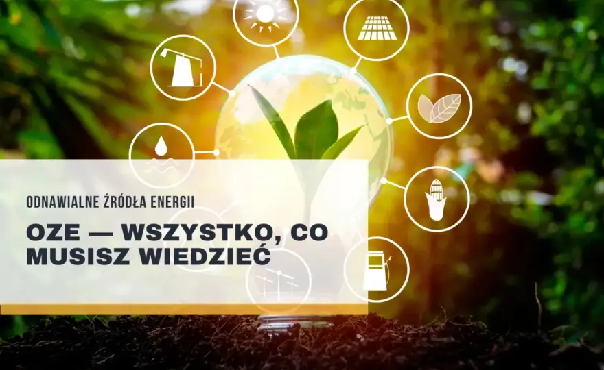 OZE: Czym są, dlaczego są ważne i jak skorzystać z dotacji?