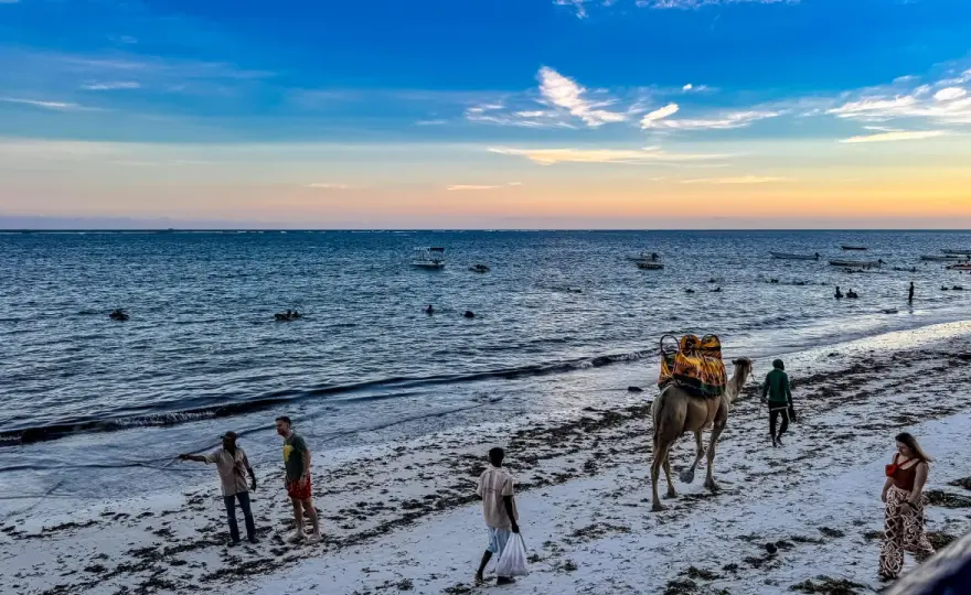 Kenia Safari & Strand - Beste Reisezeit für deine Kombi