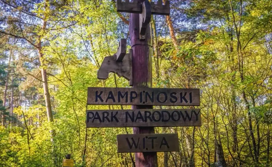 Puszcza Kampinoska - jak ją odkryć? Praktyczny przewodnik