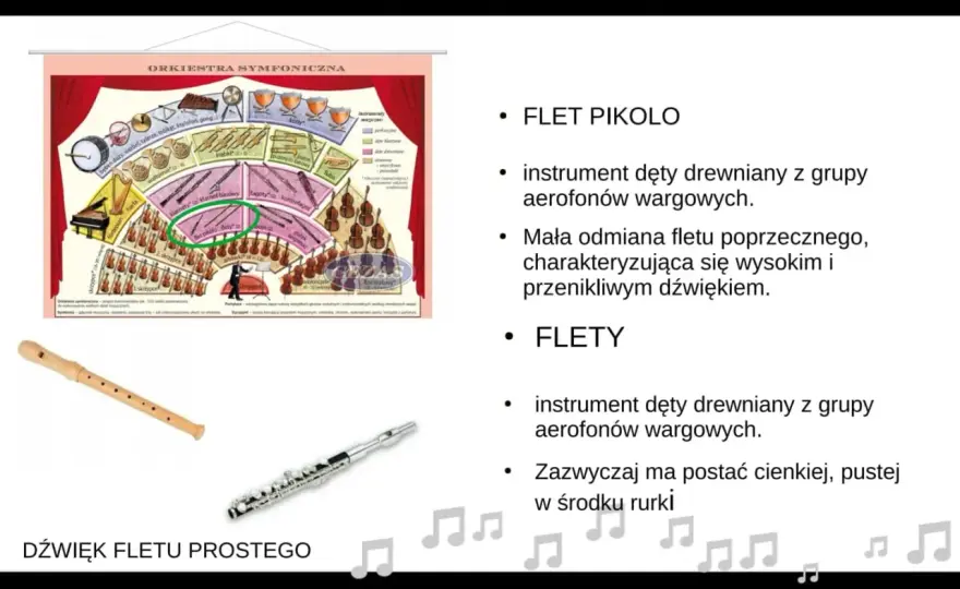 Ile osób liczy orkiestra symfoniczna? Zaskakujące fakty o muzykach