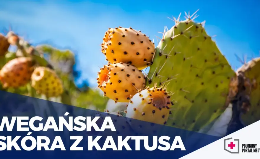 Wegańska skóra z czego powstaje? Odkryj zaskakujące materiały