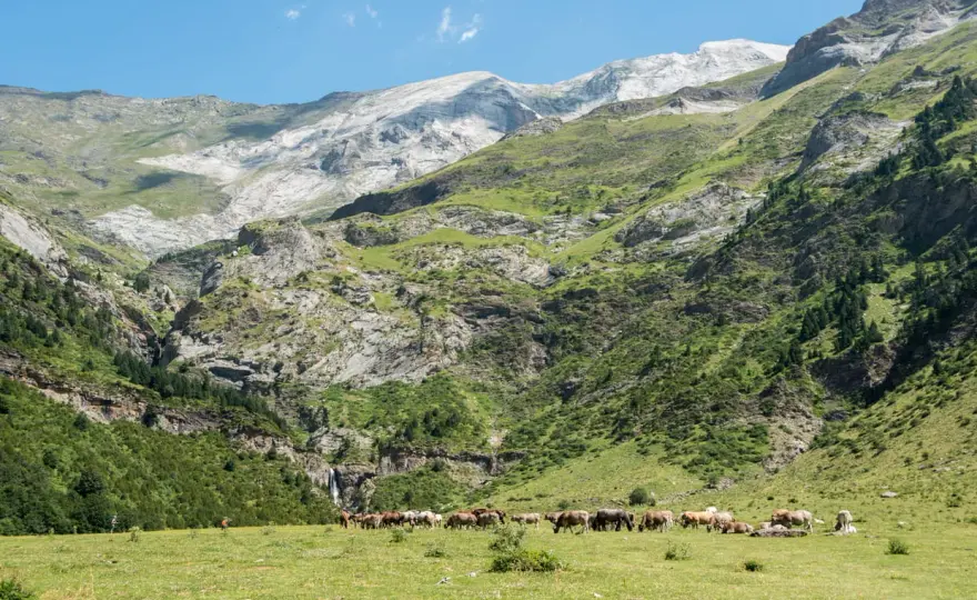 Llanos de la Larri - Votre rando Pyrénées parfaite?