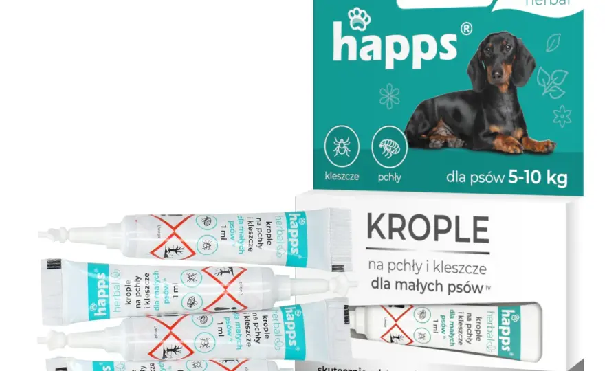 Co na kleszcze dla psa? Wybierz najlepszy i bezpieczny preparat