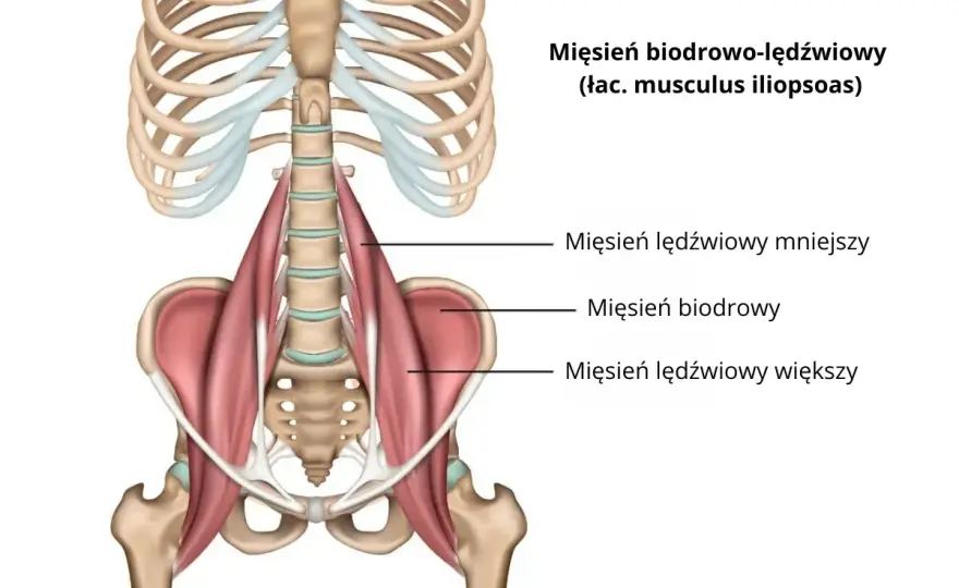 Ból stawu biodrowo-lędźwiowego - skąd się bierze i co pomaga?