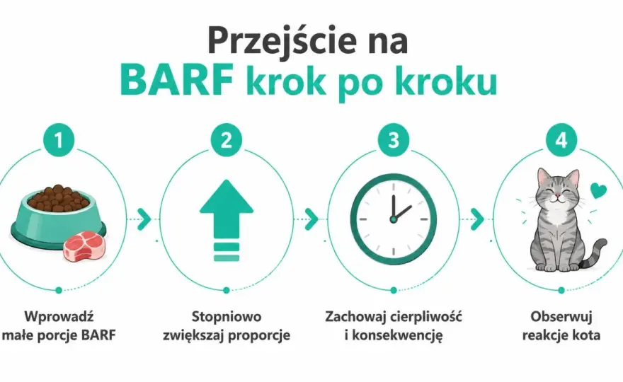 BARF dla kota - przepis, błędy i bezpieczne wprowadzanie