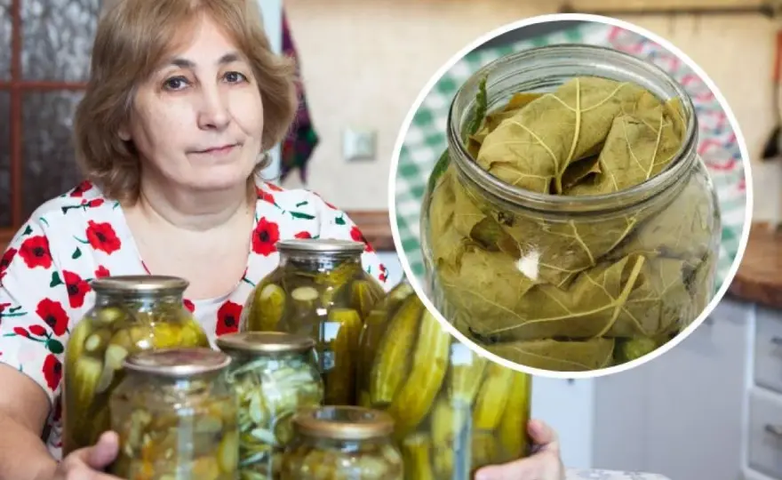 Czy można kroić ogórki do kiszenia? Oto, co musisz wiedzieć