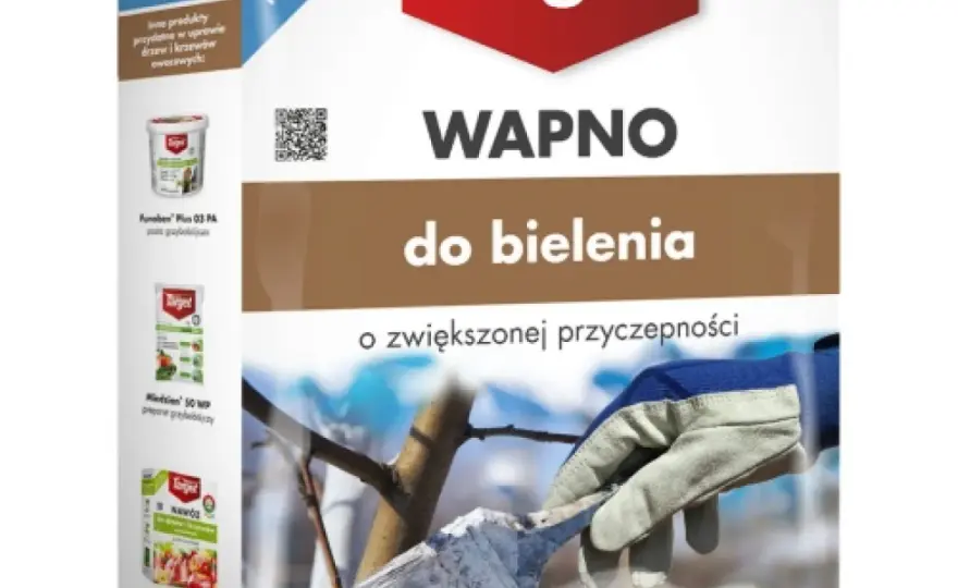 Czy wapno hydratyzowane szkodzi roślinom? Zastosowanie i skutki w ogrodzie