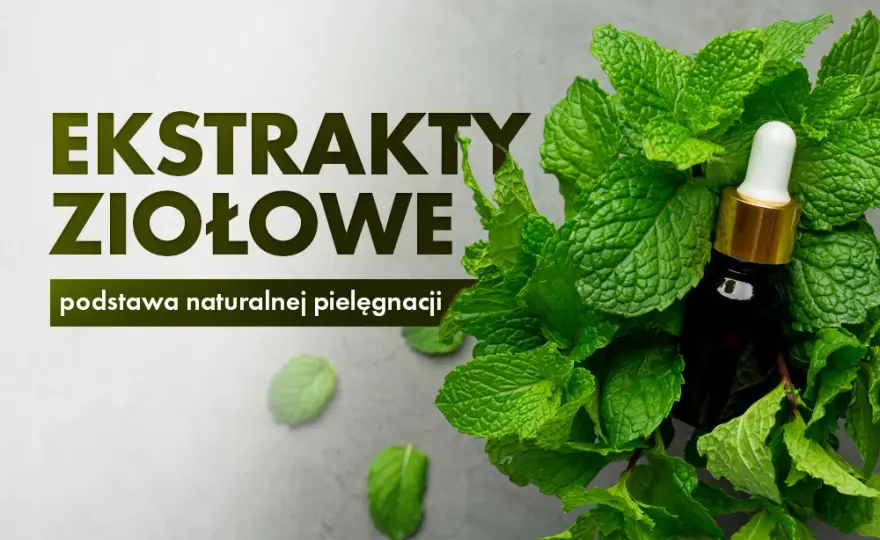 Jak zrobić ekstrakt roślinny - proste metody i najczęstsze błędy