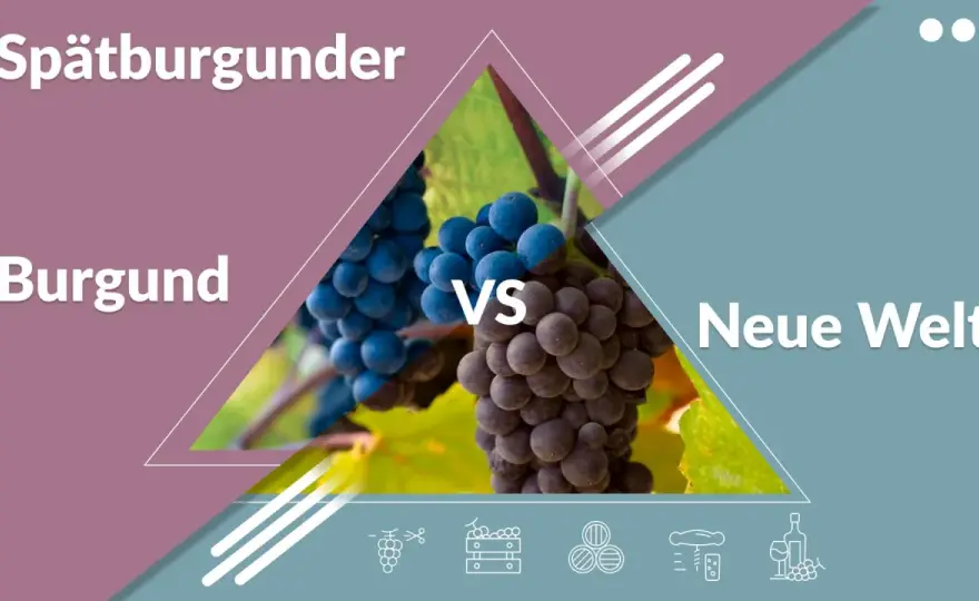 Pinot Noir und Spätburgunder - was die Rebe so besonders macht