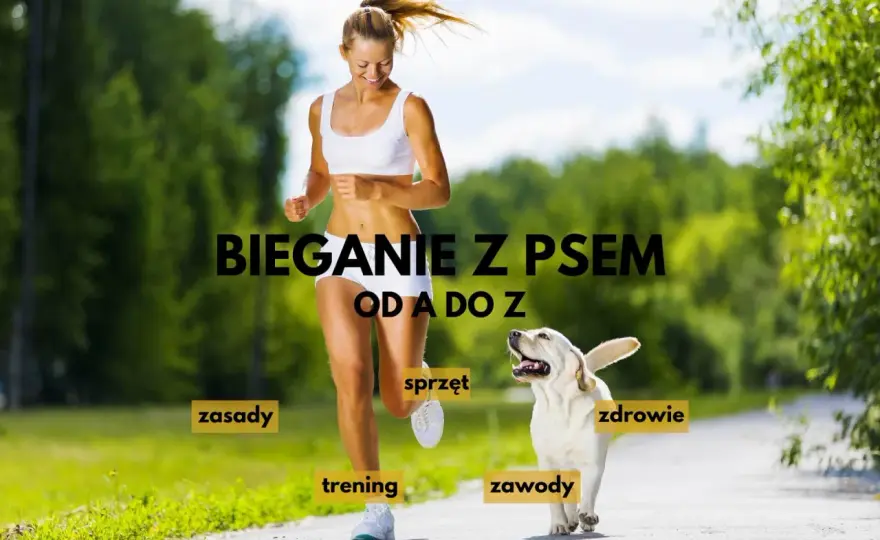 Bieganie z psem - Jak zacząć treningi bezpiecznie i bez błędów?