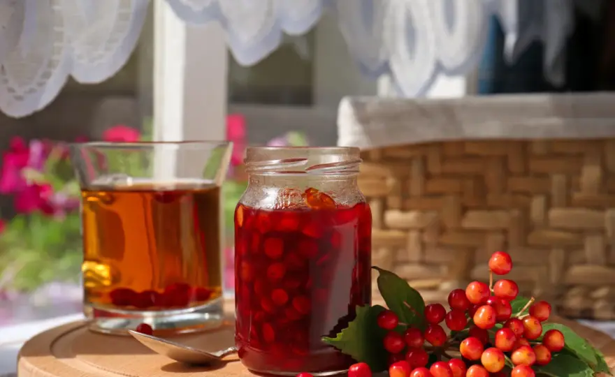 Syrop z kaliny bez goryczy - Prosty przepis i przechowywanie