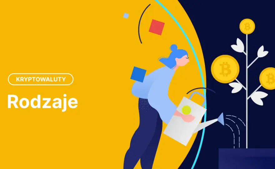 Rodzaje kryptowalut - jak je odróżniać i oceniać?