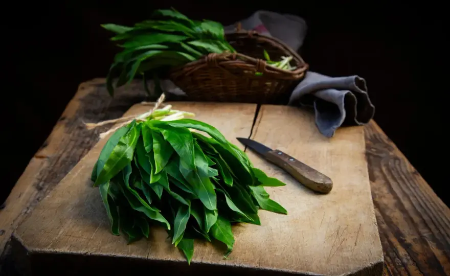Ail des ours - Cuisinez-le sans erreur, saveurs garanties