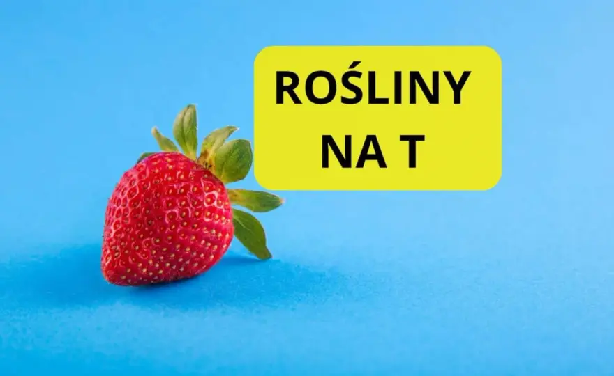 Owoce na literę T - Znasz coś poza truskawką? Poznaj pełną listę