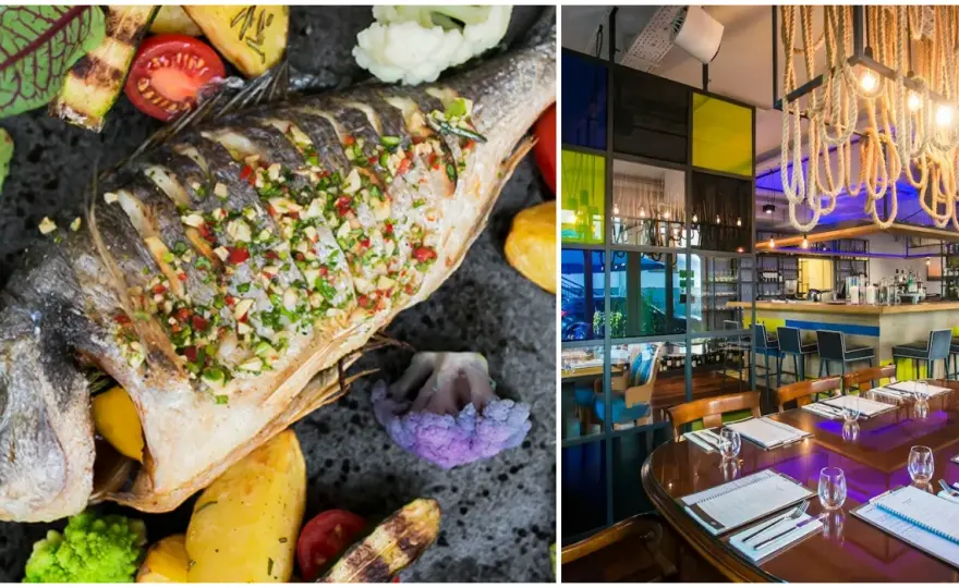 Serock gdzie zjeść – najlepsze restauracje i smaki, które musisz poznać