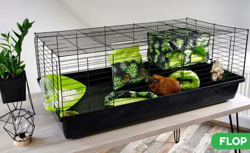Domek dla świnki morskiej DIY: Zbuduj bezpieczną kryjówkę!