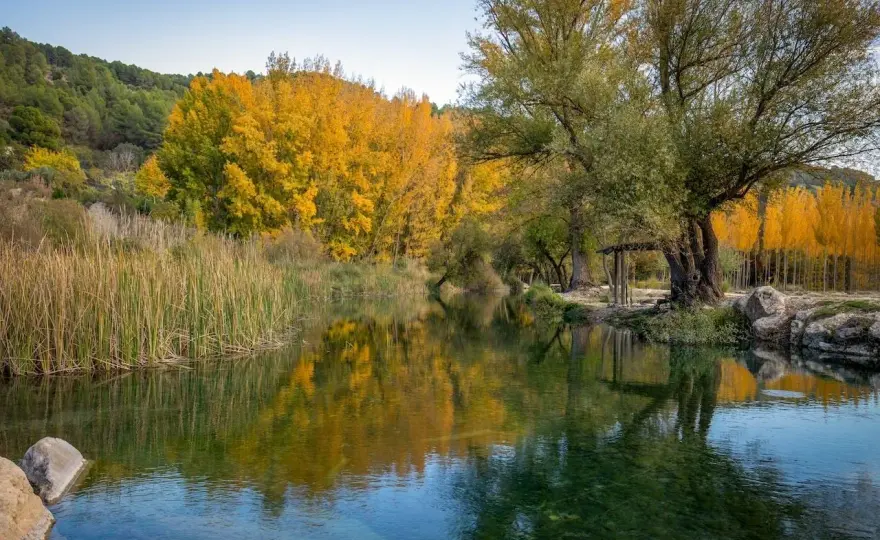 Bosque Encantado de Higueras - Guía para tu visita perfecta