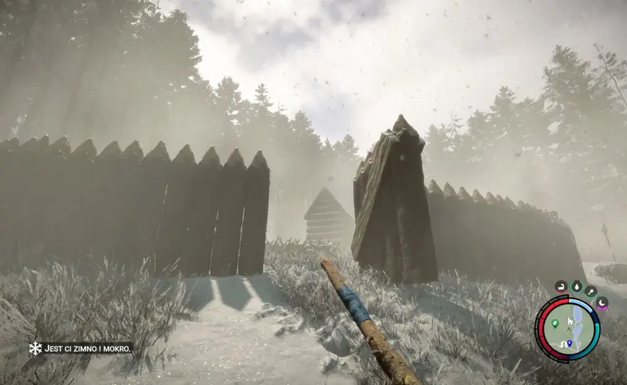 Sons of the Forest - Czy warto zagrać? Premiera i aktualizacje