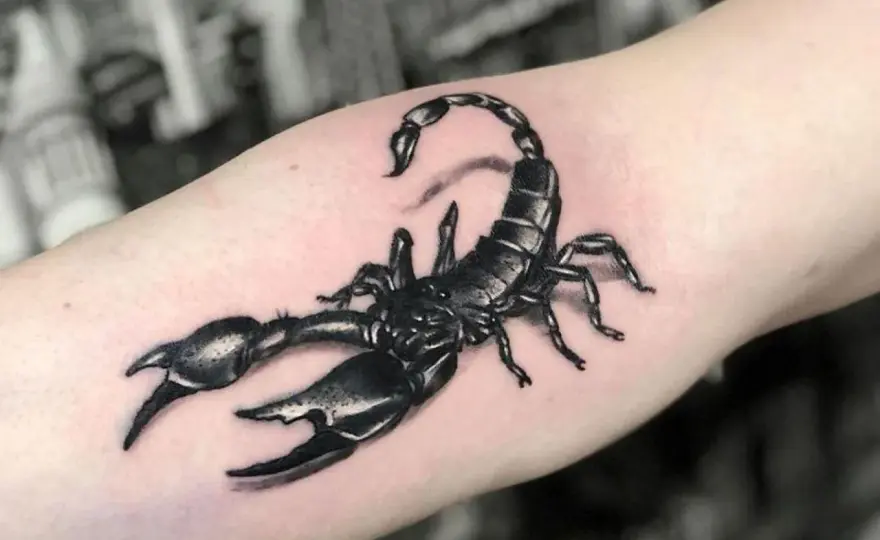 Tatuaż Skorpion - Znaczenie, Style, Miejsca. Wybierz mądrze!