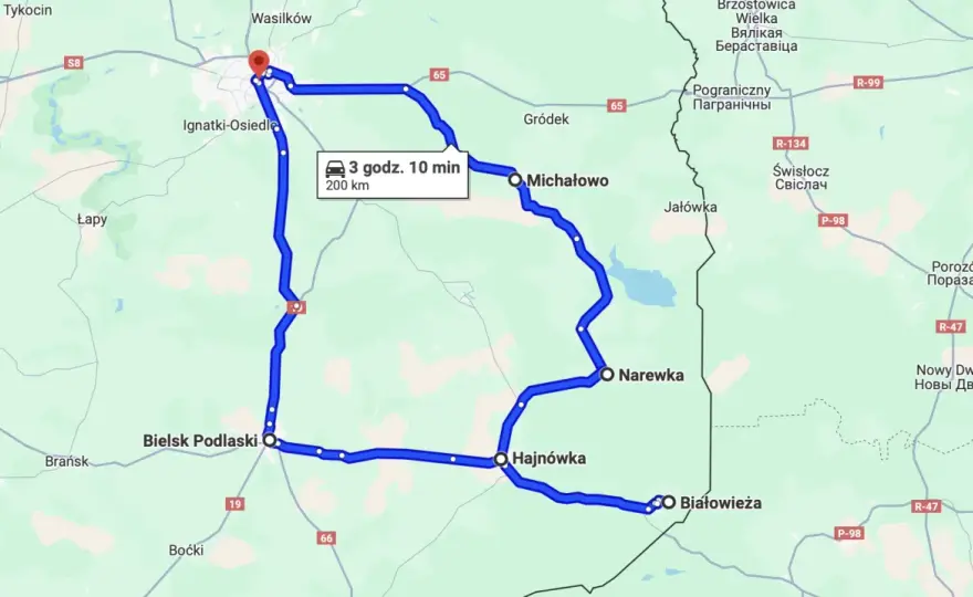 Szlaki Puszczy Białowieskiej - które trasy warto wybrać?