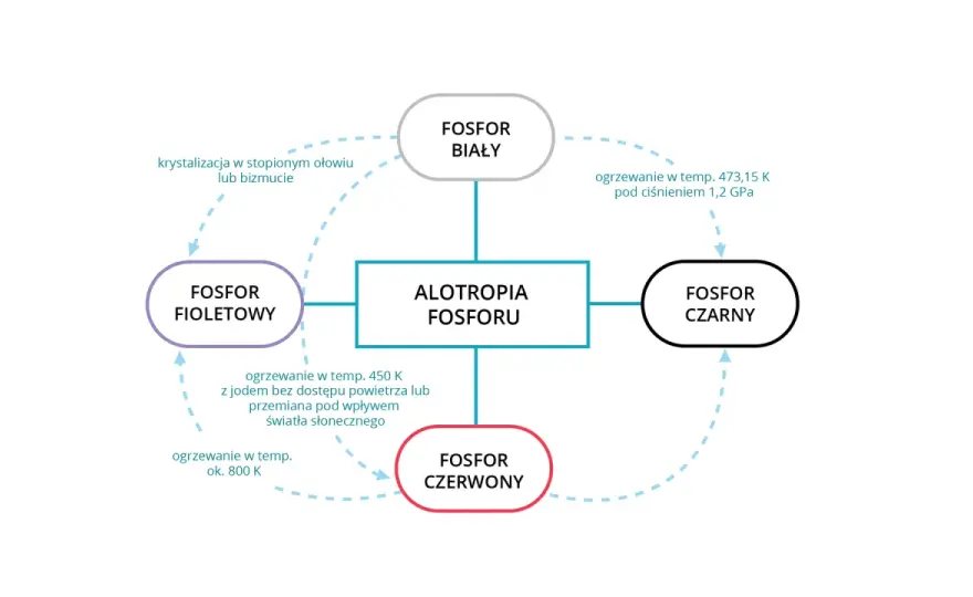Fosfor (P) - Co oznacza, właściwości i zastosowania?