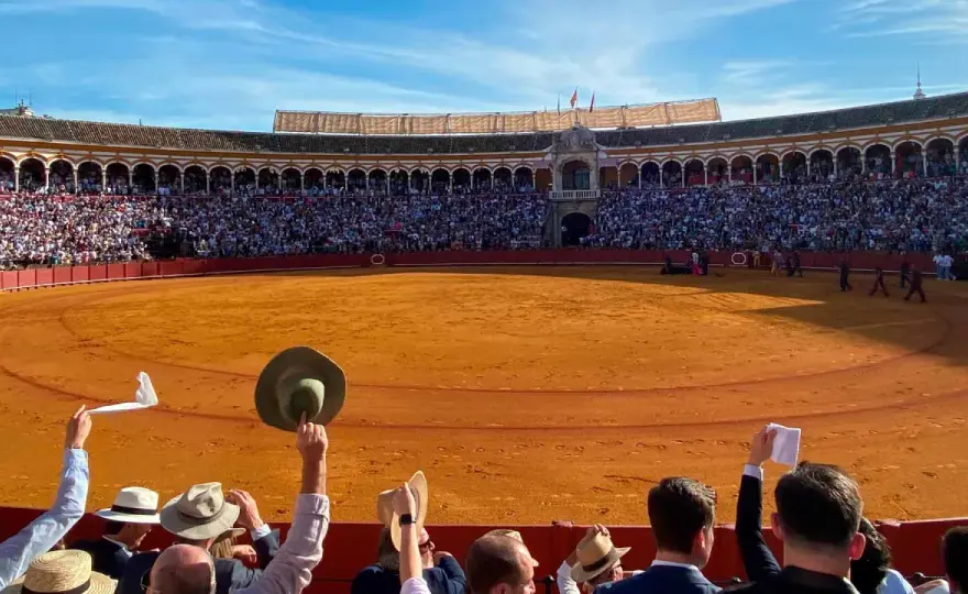 Plaza de toros - Guía completa para entender su historia y visita