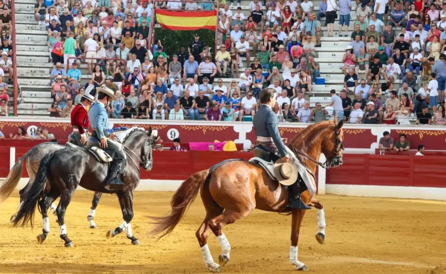 Bernardino Píriz Carvallo - El toro que marcó época