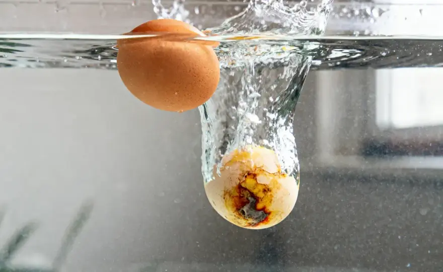 Œufs au lait qui rendent de l'eau - Évitez ce problème!