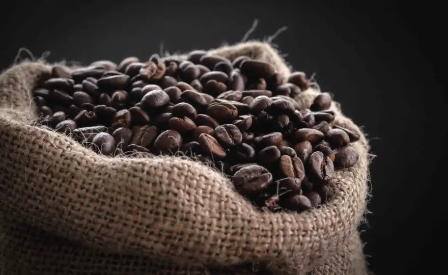 Cafeína para el pelo - ¿Funciona contra la caída?