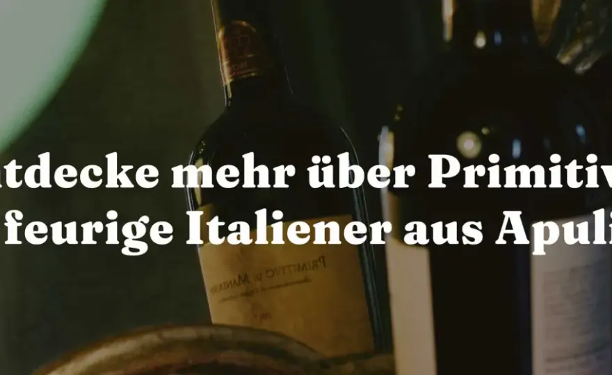 Italienische Weinjahrgänge - Deine ultimative Kaufhilfe