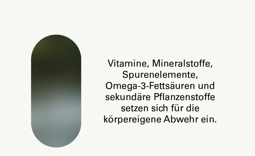 Vitamine fürs Immunsystem: Stärken Sie Ihre Abwehrkräfte effektiv