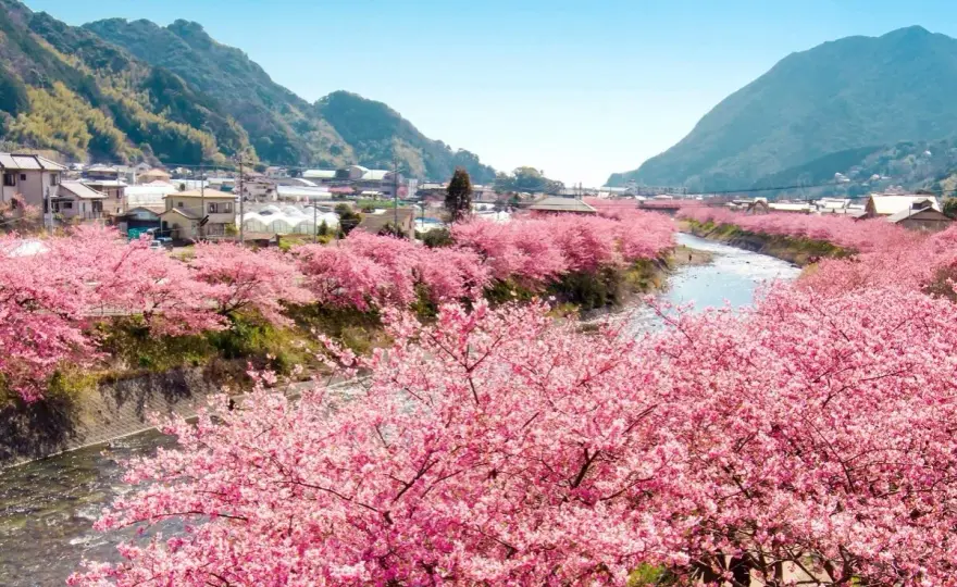 Beste Reisezeit für Tokio - Frühling, Herbst oder Winter?