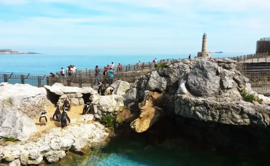 Parque Marino de la Magdalena - Tu guía para una visita perfecta