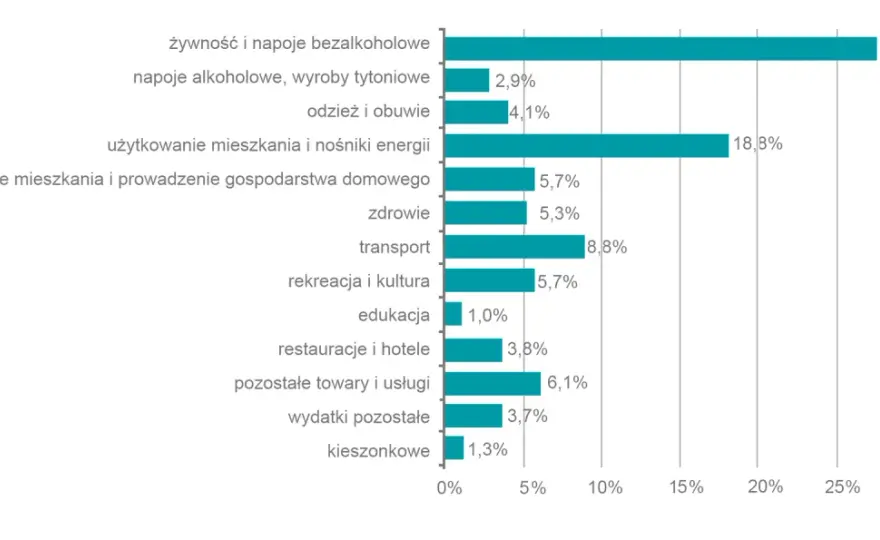 Struktura wydatków w Polsce - gdzie znika domowy budżet?