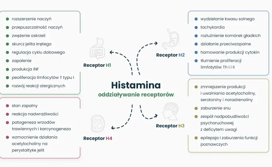 Nietolerancja histaminy - objawy i co robić, zanim coś wyeliminujesz