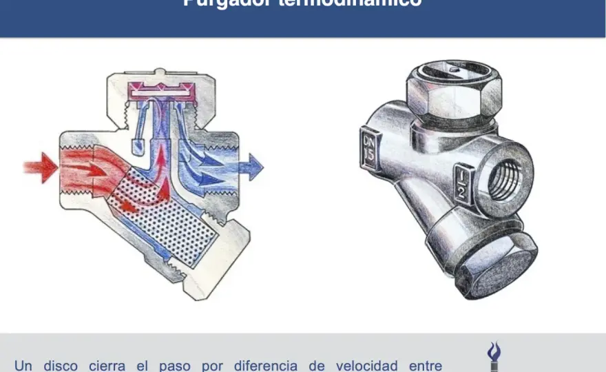 Purgador de condensados - ¿Cómo elegirlo bien?