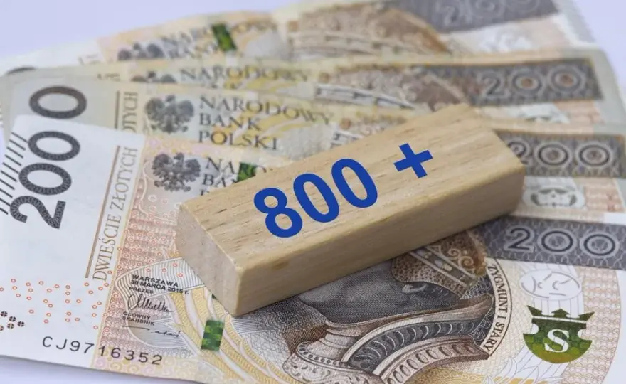 800 plus: Nowy wniosek do ZUS? Terminy, by nie stracić!