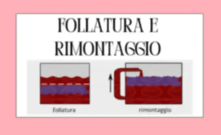 Vinificazione in Rosso - Guida a Macerazione e Stile del Vino