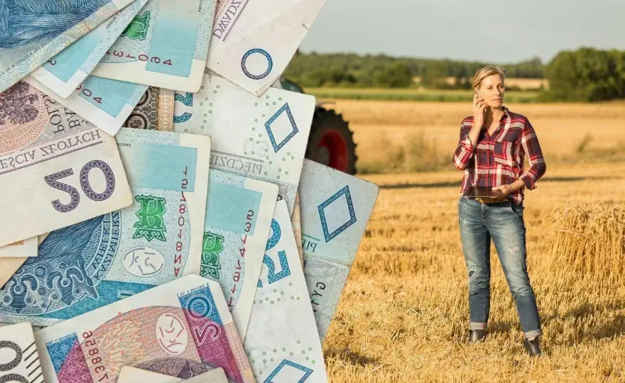 Młody Rolnik - Premia 200/300 tys. zł? Sprawdź, jak ją zdobyć!