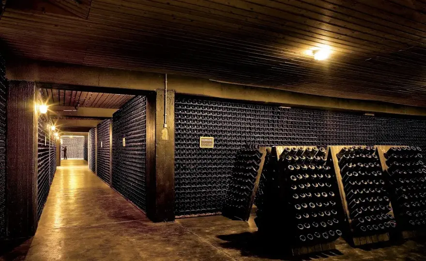 Cantine Italiane - Guida Essenziale per Capire e Scegliere Bene