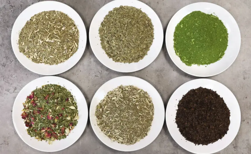 Verde Mate - Łagodna Yerba? Skład, Działanie, Parzenie