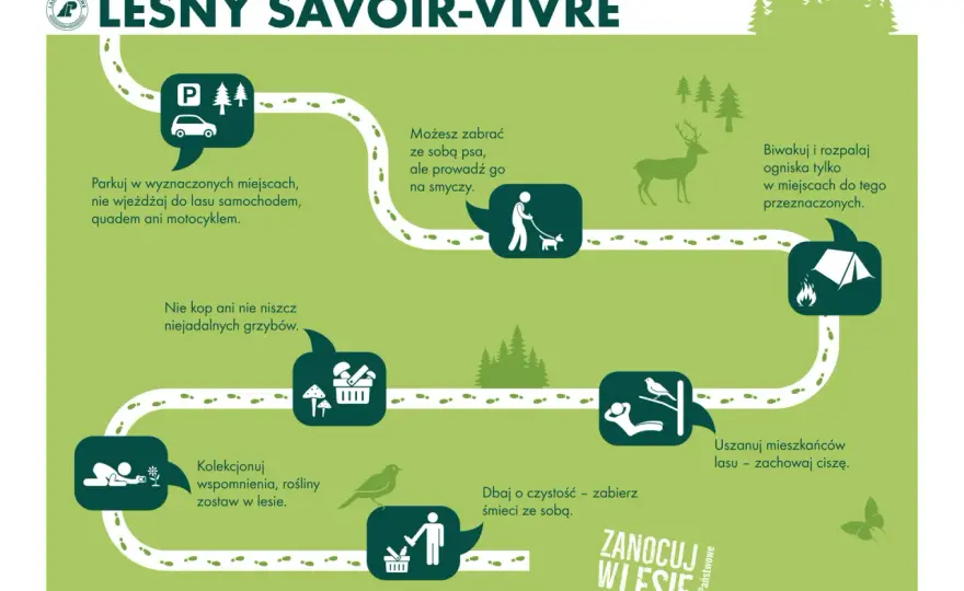 Leśny biwak - Jak planować, co zabrać i unikać błędów?