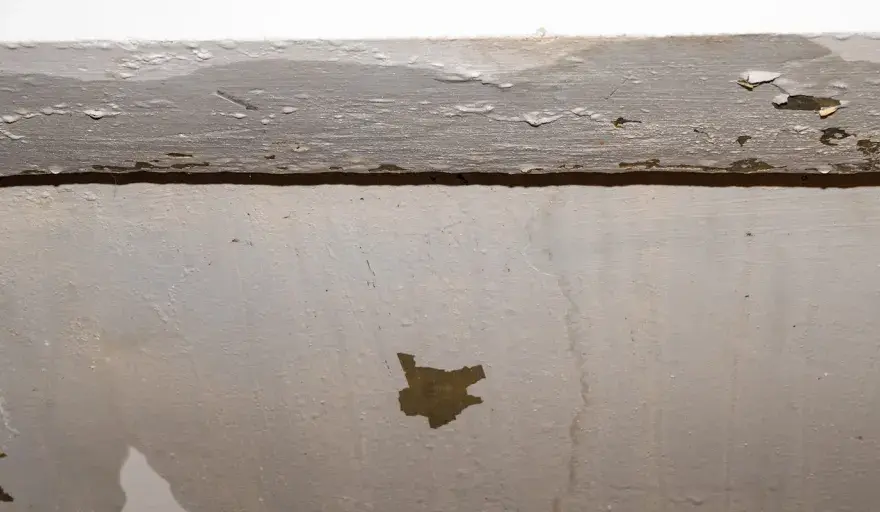 Regenwasser durch die Wand? Ursachen & dauerhafte Lösungen!