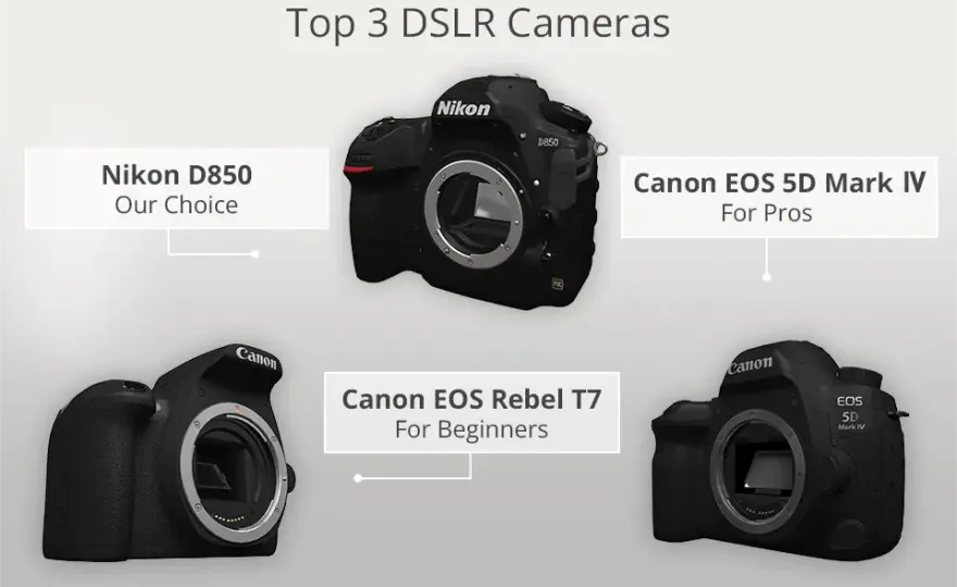 Wybór lustrzanki Canon w 2026: Czy ma sens? Modele i obiektywy.