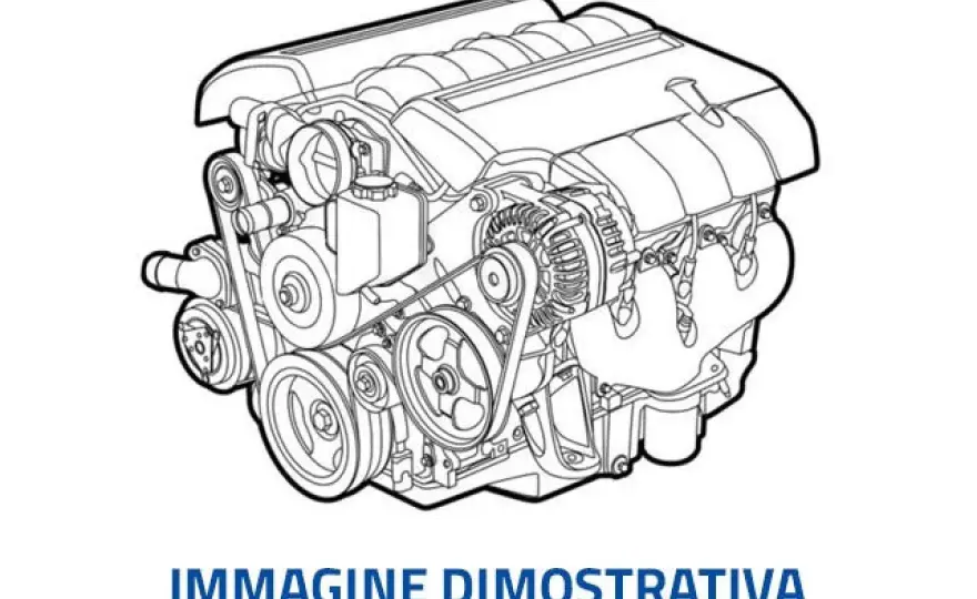 Schema motore Ford Fiesta 1.4 TDCi - La guida pratica