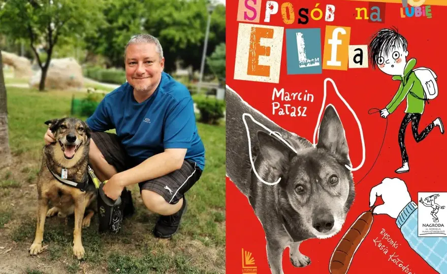 Sposób na Elfa - Analiza książki Marcina Pałasza