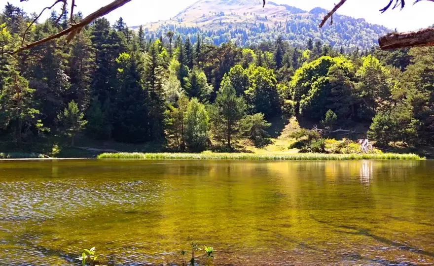 Bassa d’Oles - Tu escapada perfecta en Val d'Aran