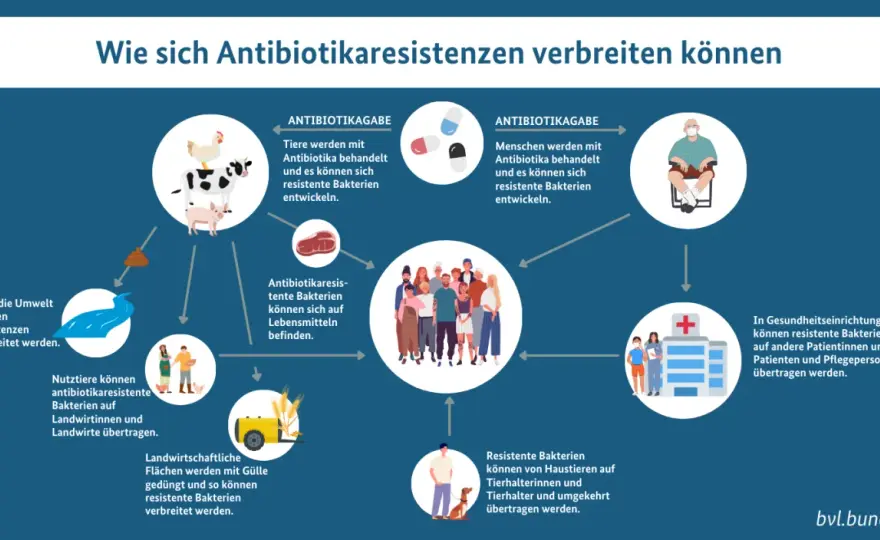 Ist eine bakterielle Infektion ansteckend? Schutz im Alltag