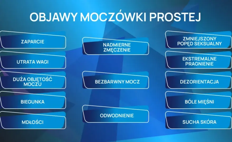 Moczówka prosta u psa - objawy, diagnoza i leczenie