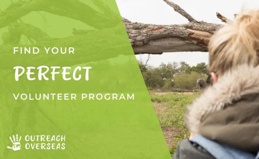 Best Ways to Volunteer - Find Your Perfect Match